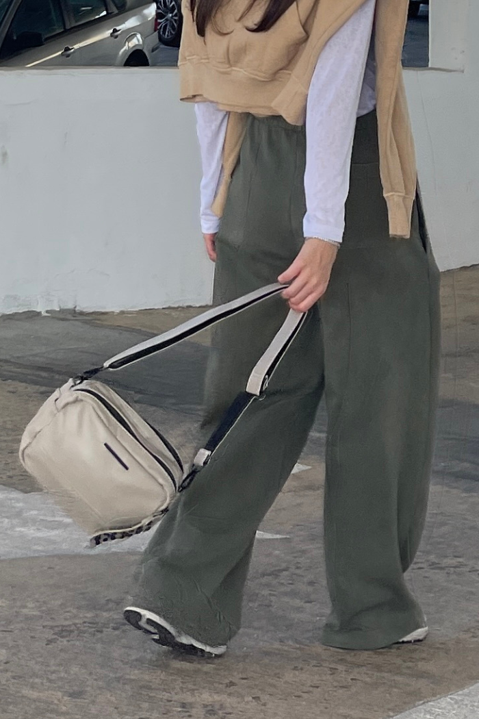 תיק גרי