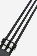 רצועות פספס