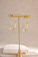 עגילי דונצי